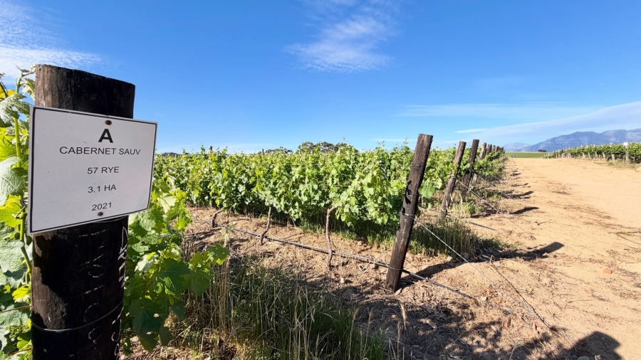 Commercial Property for Sale in Stellenbosch Farms Western Cape